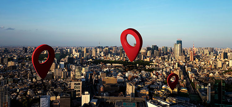 Dedicated Travel Consultant